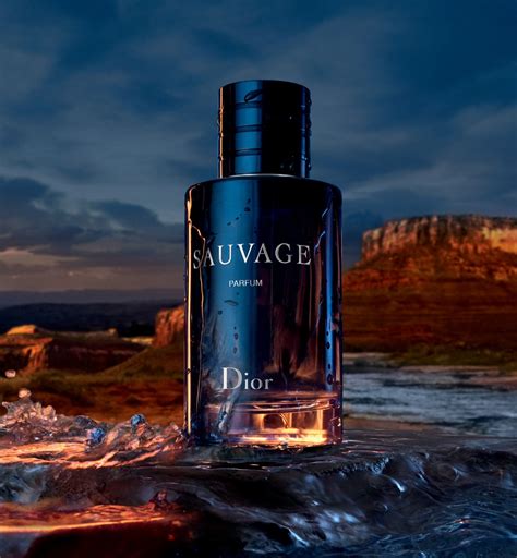 sauvage elixir dior|Sauvage: the world of the iconic Dior fragrance for men .